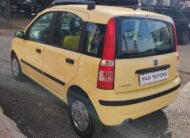 Fiat Panda 1.2 Dynamic 60cv NEOPATENTATI 2006