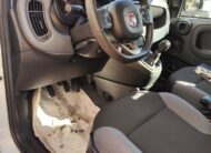 Fiat Panda 1.3 MJT 80 CV NEO 2017